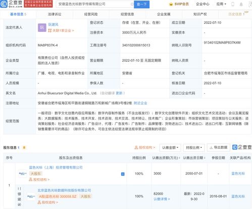 數(shù)字文化創(chuàng)意內(nèi)容應(yīng)用服務(wù)的興起與發(fā)展